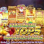 ทดลองเล่นpgสล็อตฟรี